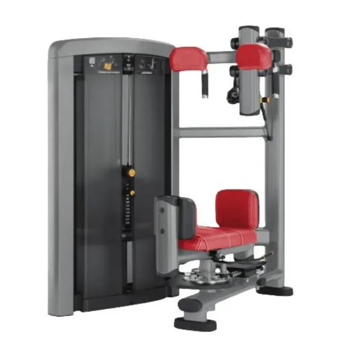 Torso Rotation Machine: Sculpt Slimmer Waistline suppliers